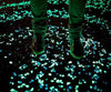 Solar Powered Glow Stones